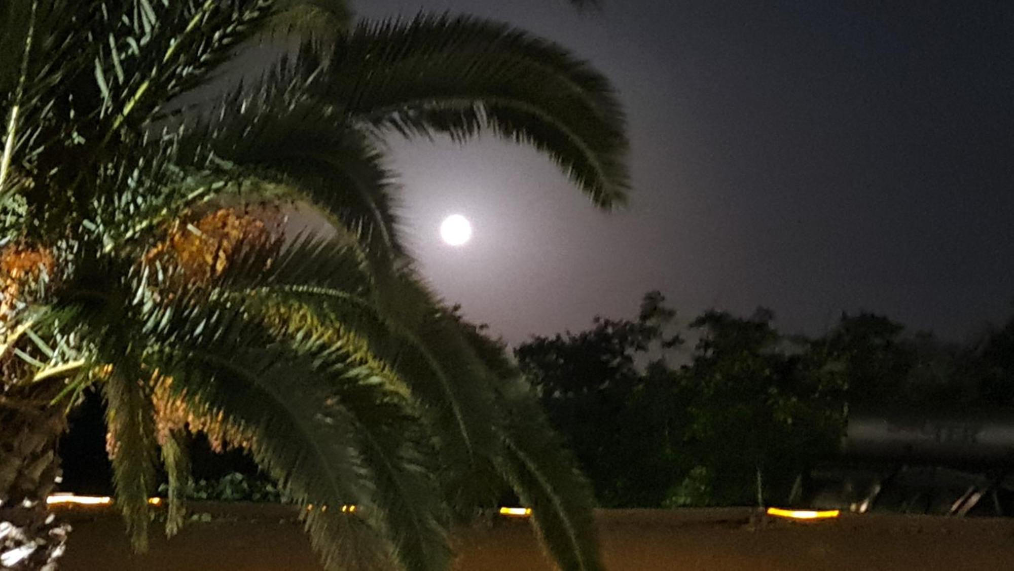 דירות וורוורו The Palms Novasithonia מראה חיצוני תמונה